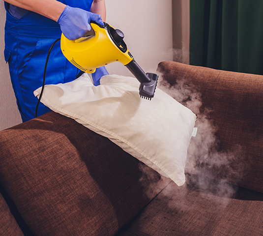 Upholstery Cleaning